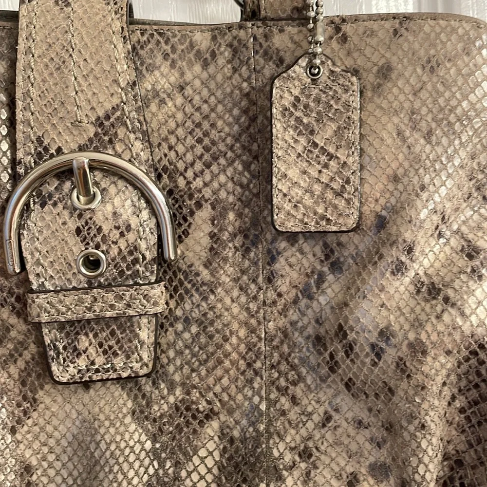 Beautiful Pre Loved Python Coach - Picture 4 of 17